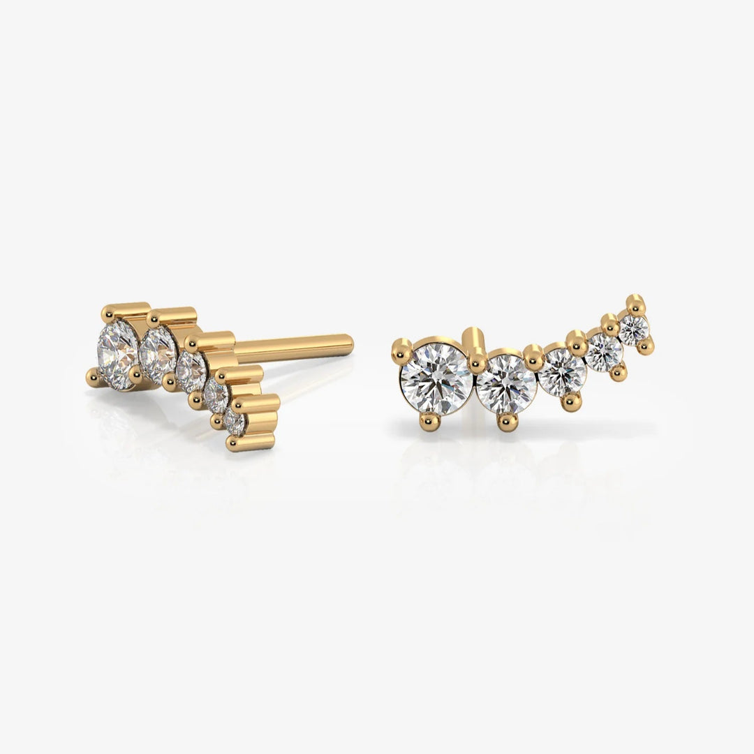 Silver Earrings & 18K Gold Plated