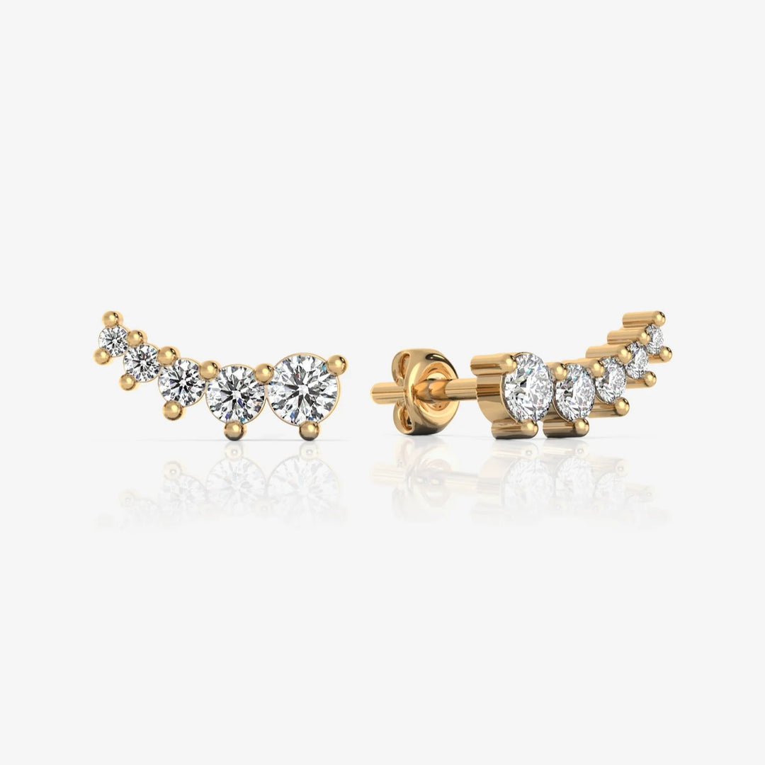 Silver Earrings & 18K Gold Plated